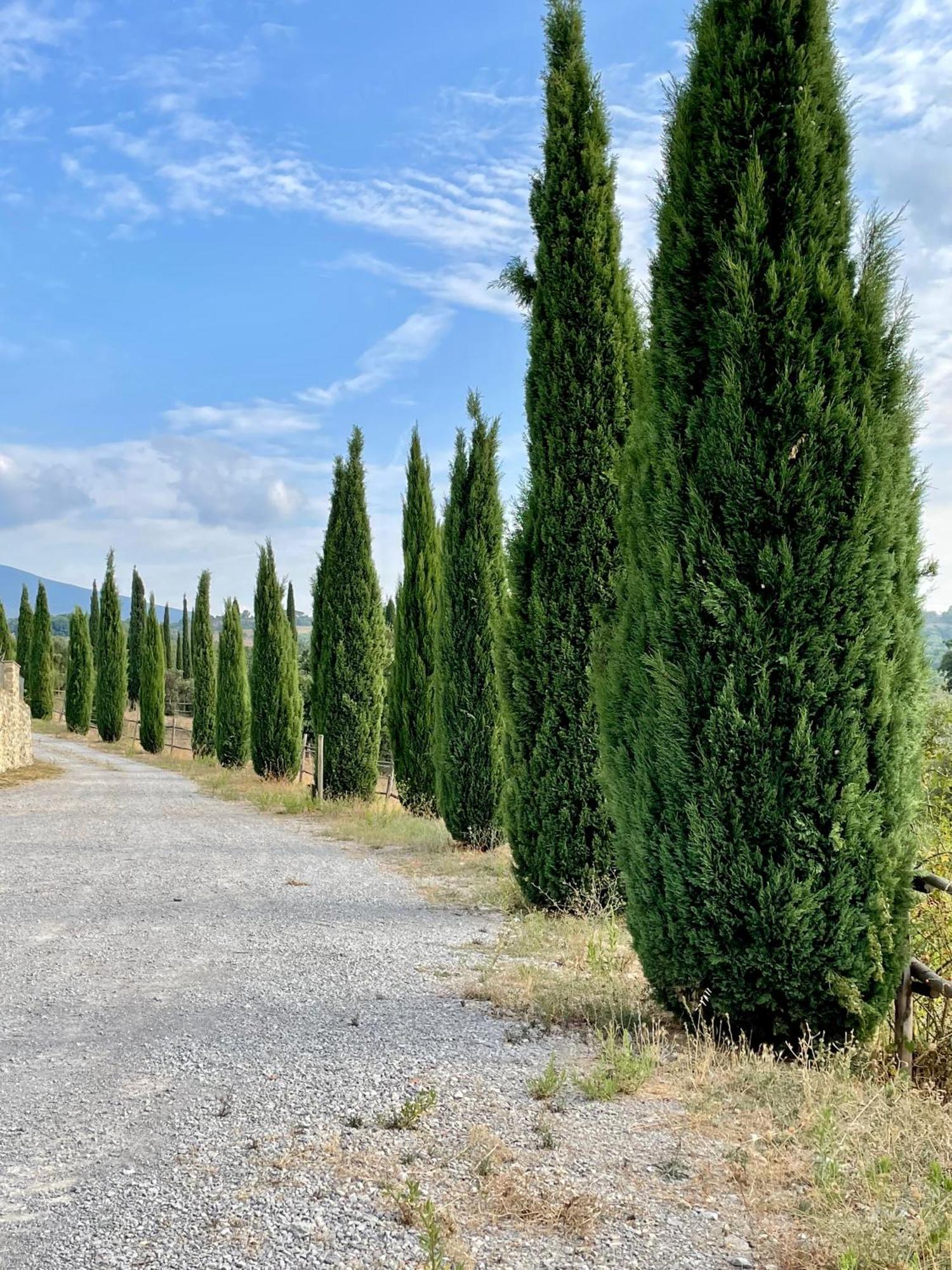 Podere Montale Winery Appartamento